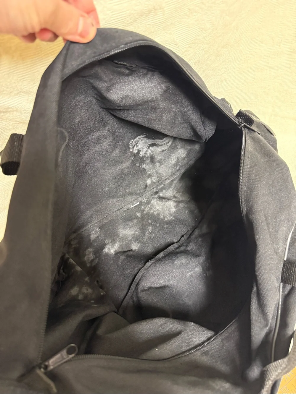 Pair of Harley Davidson Saddlebag Liners